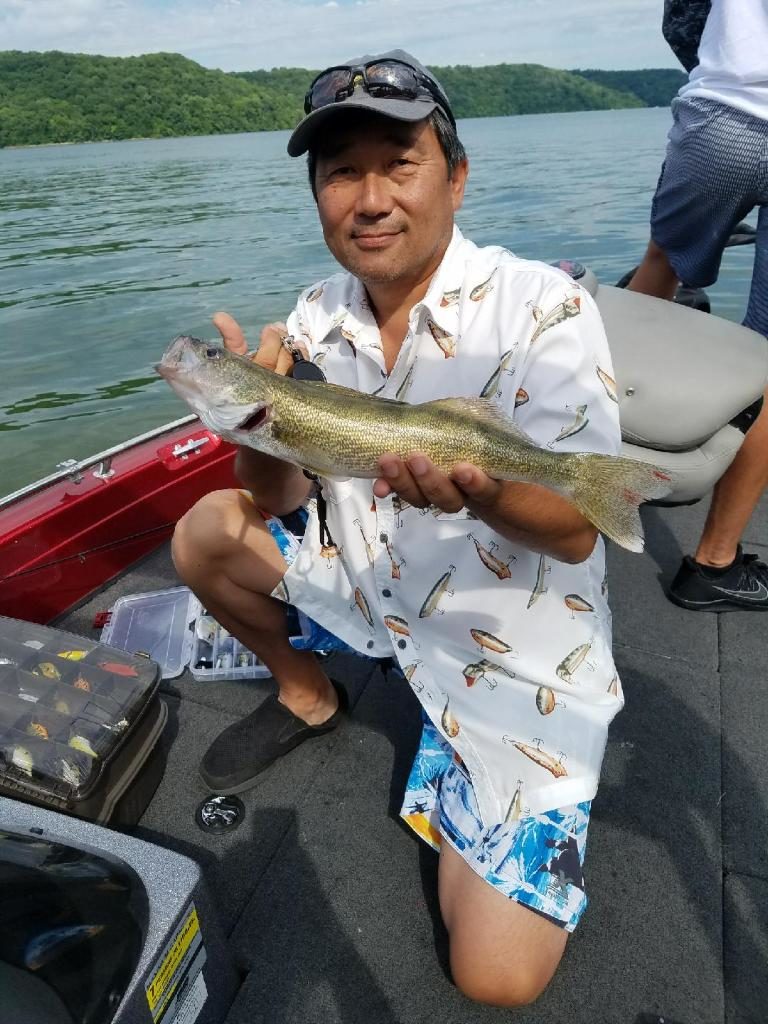 Walleye from Brookville Lake