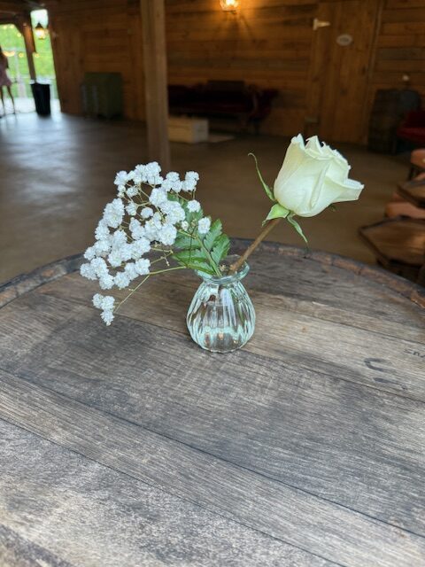 image16.jpeg