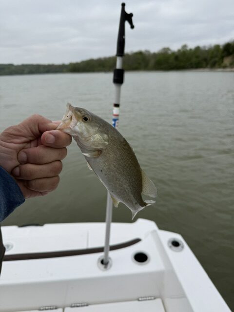 image6.jpeg