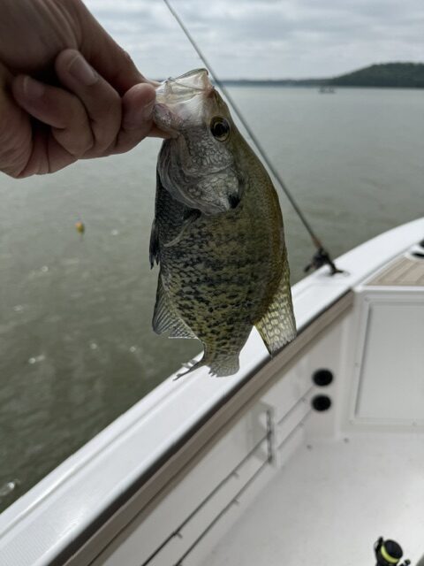 image7.jpeg